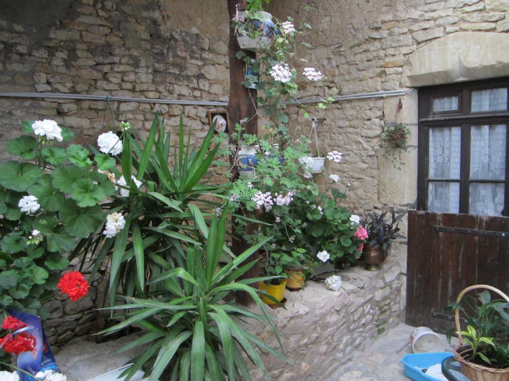Chambres, Table D'Hotes Et Gites Les Mesanges Saint-Jean-de-Sauves Exterior foto